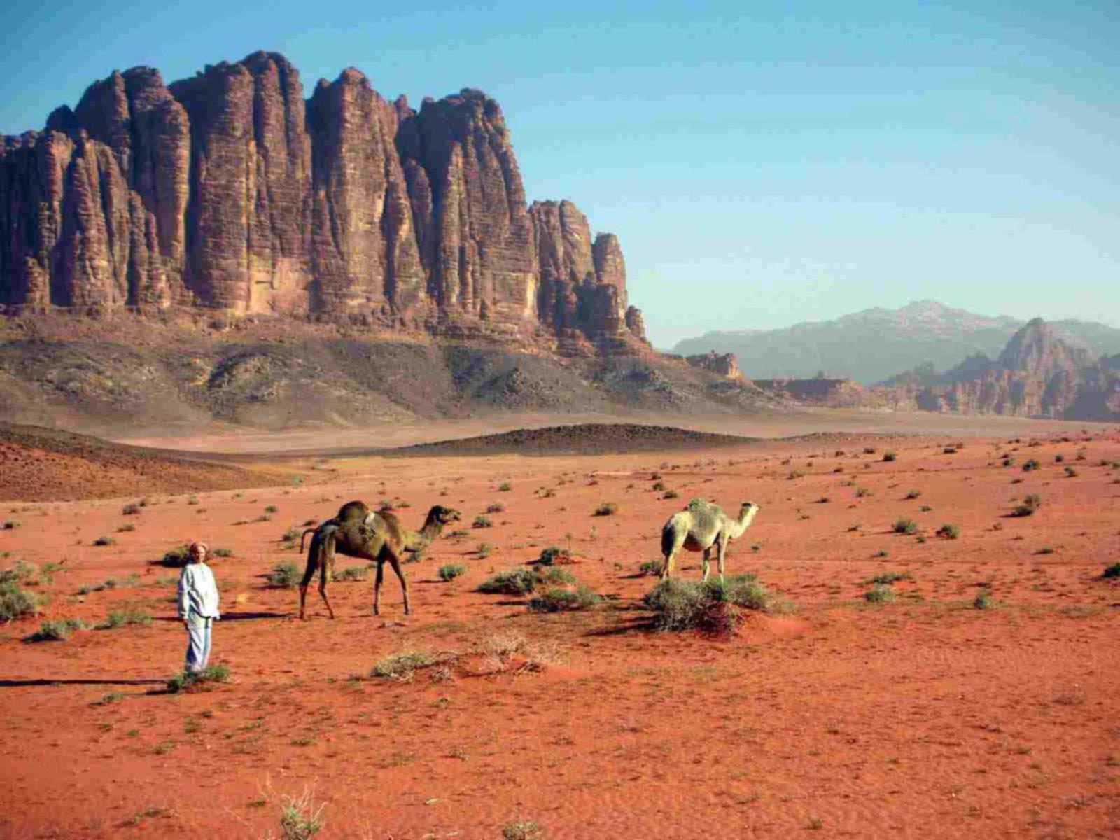 Wadi Rum Caeser Camp Hotel Екстериор снимка