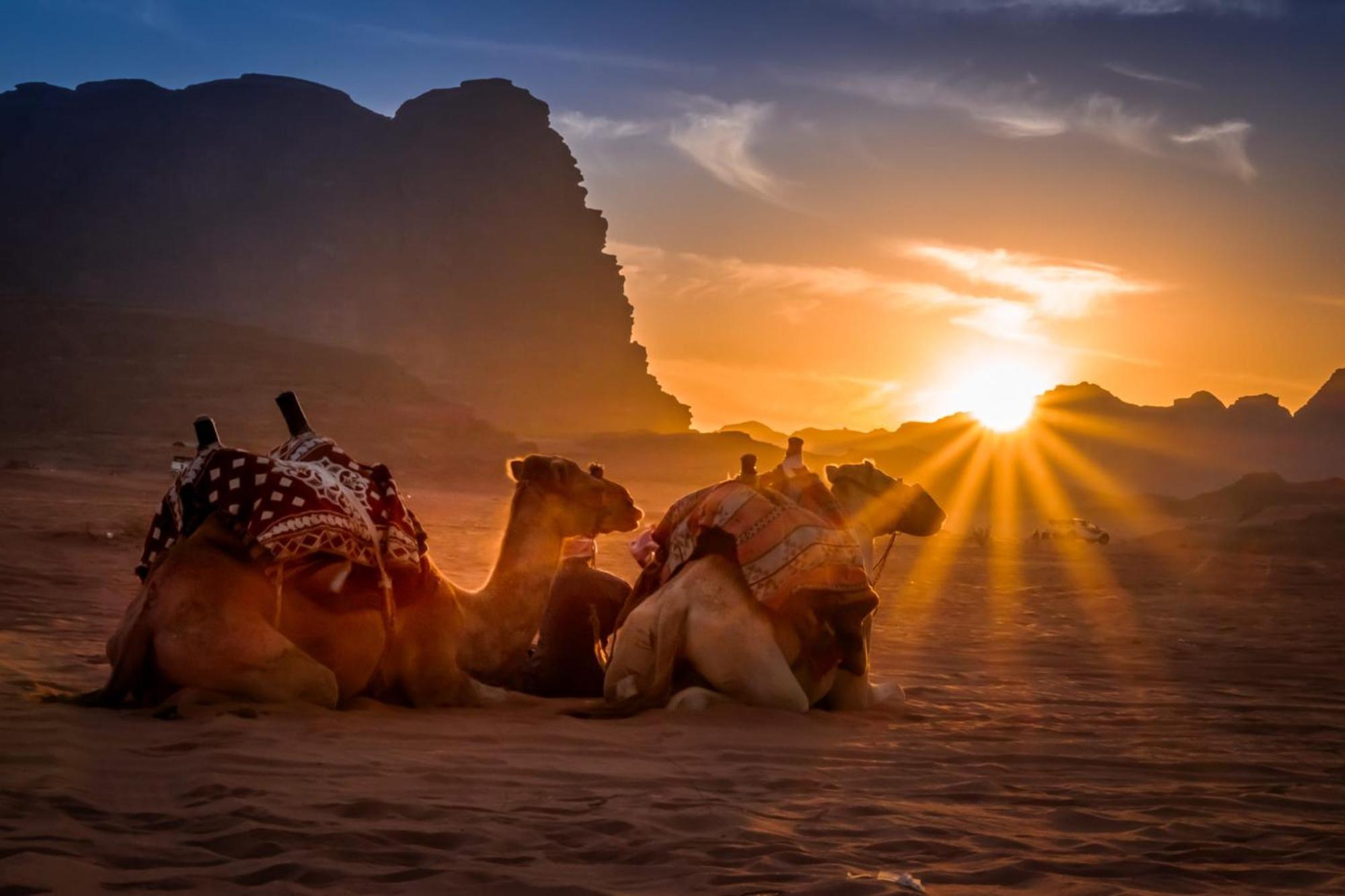 Wadi Rum Caeser Camp Hotel Екстериор снимка